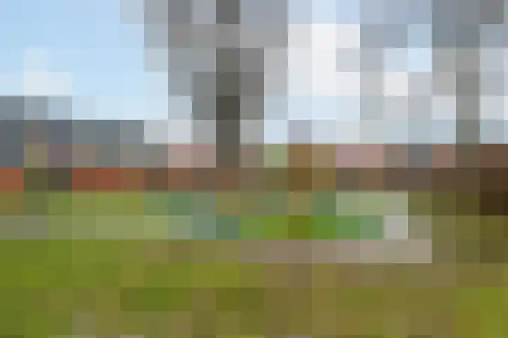 Gouwsingel 28 Assendelft thumbnail 44