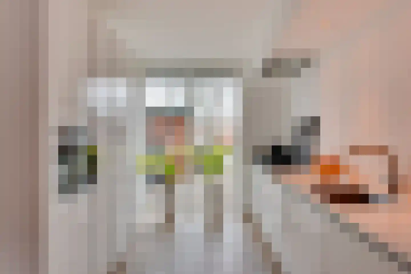 Gouwsingel 28 Assendelft thumbnail 5