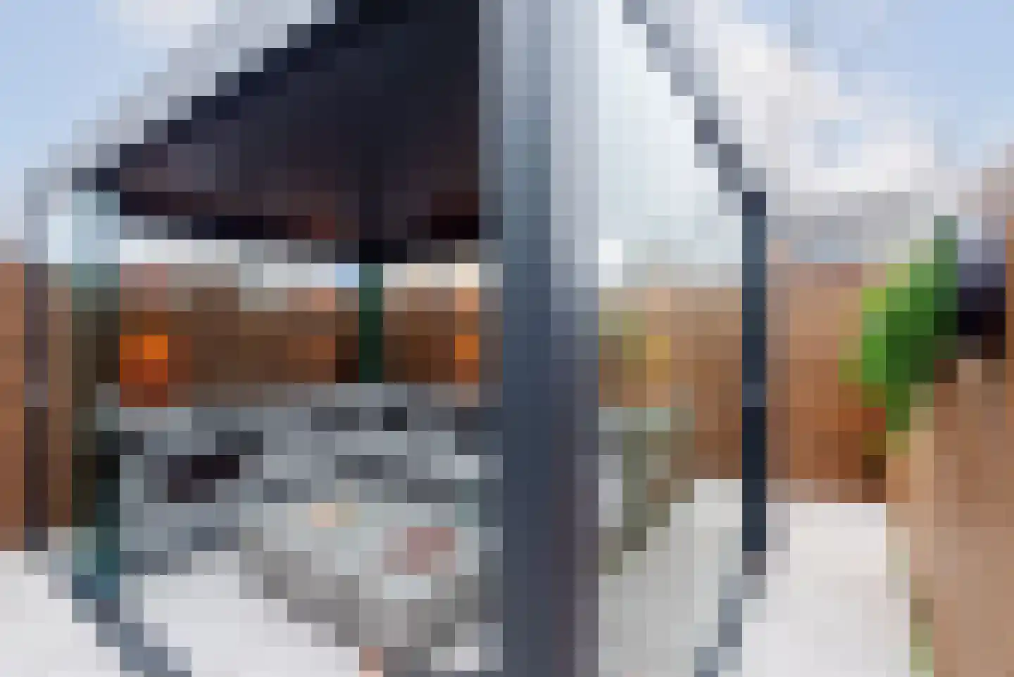 Gouwsingel 28 Assendelft thumbnail 6