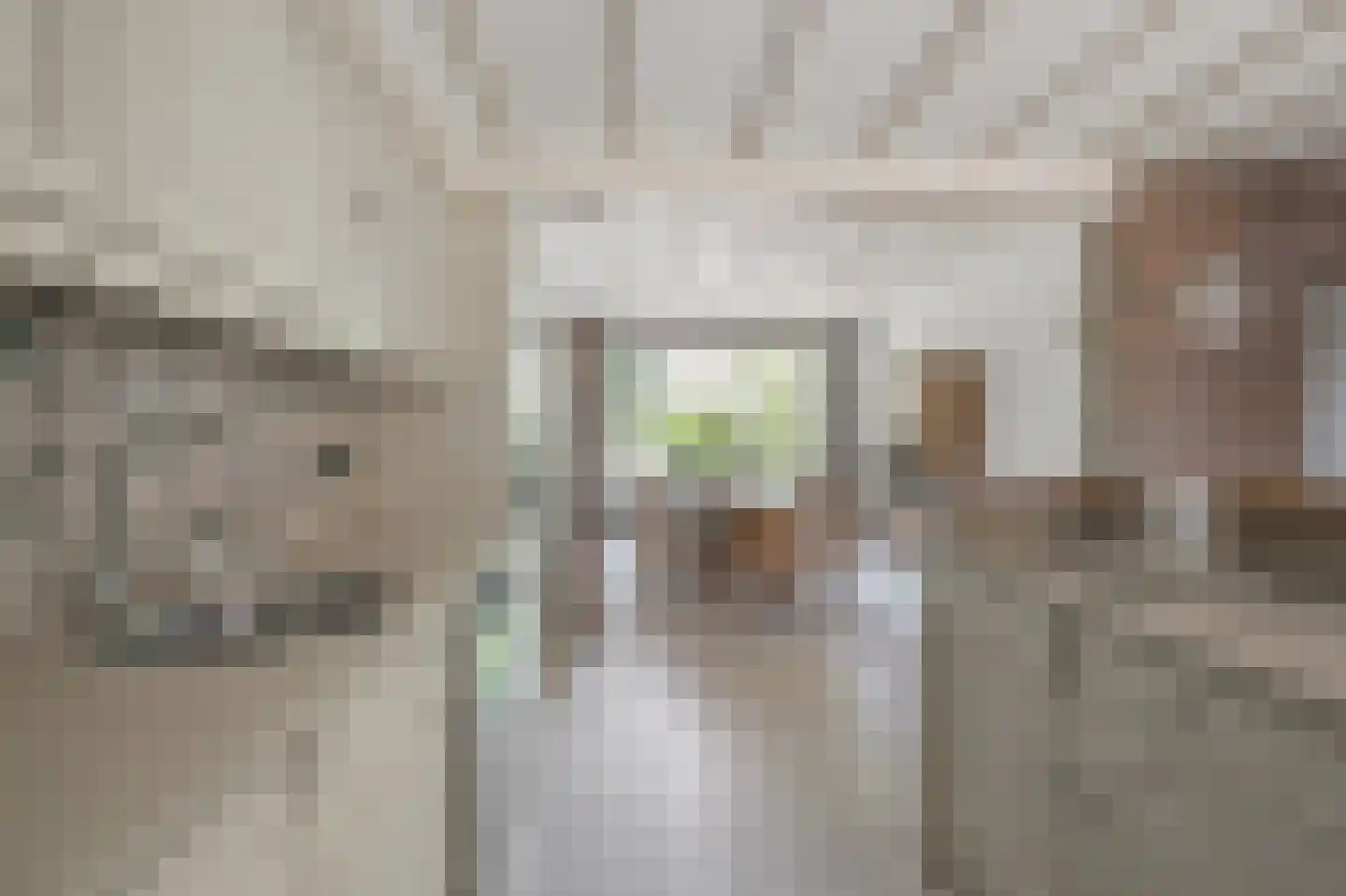 Gouwsingel 31 Assendelft thumbnail 10