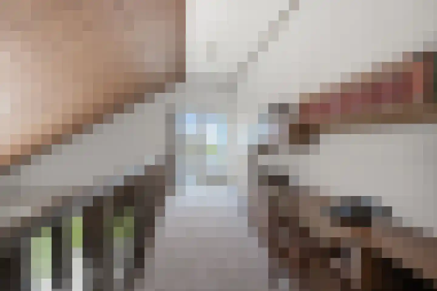 Gouwsingel 31 Assendelft thumbnail 17