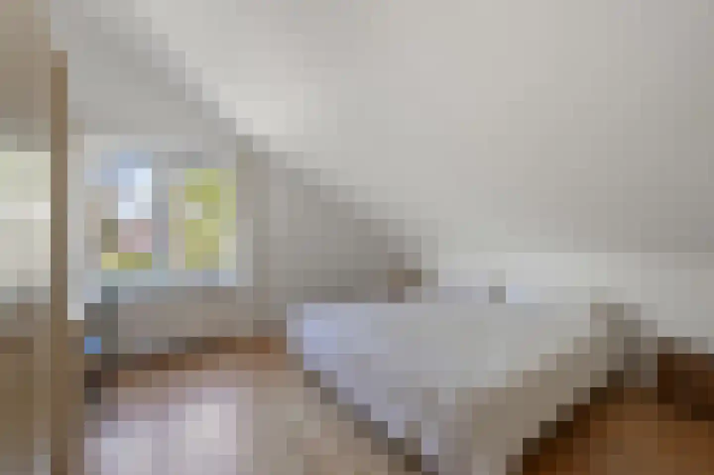 Gouwsingel 31 Assendelft thumbnail 20