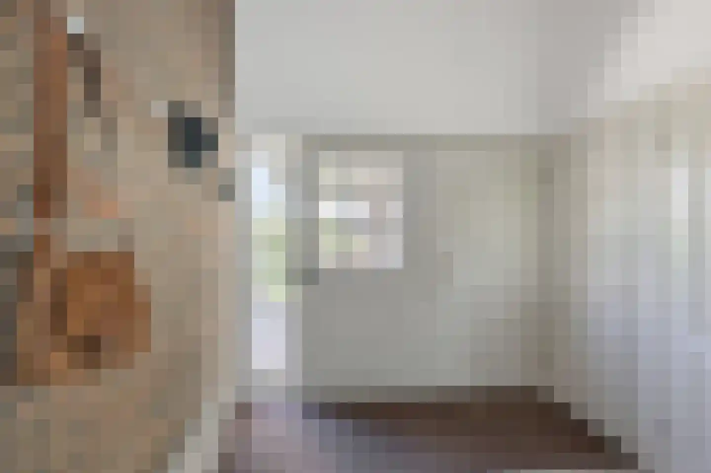 Gouwsingel 31 Assendelft thumbnail 28