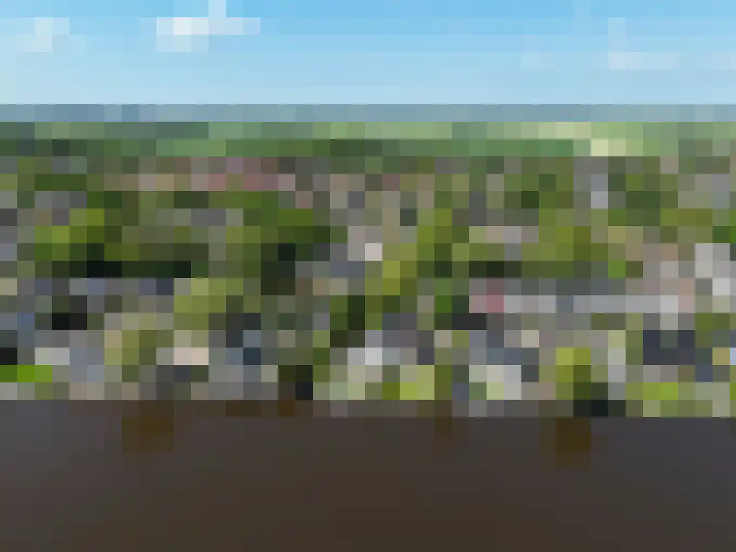 Gouwsingel 31 Assendelft thumbnail 39