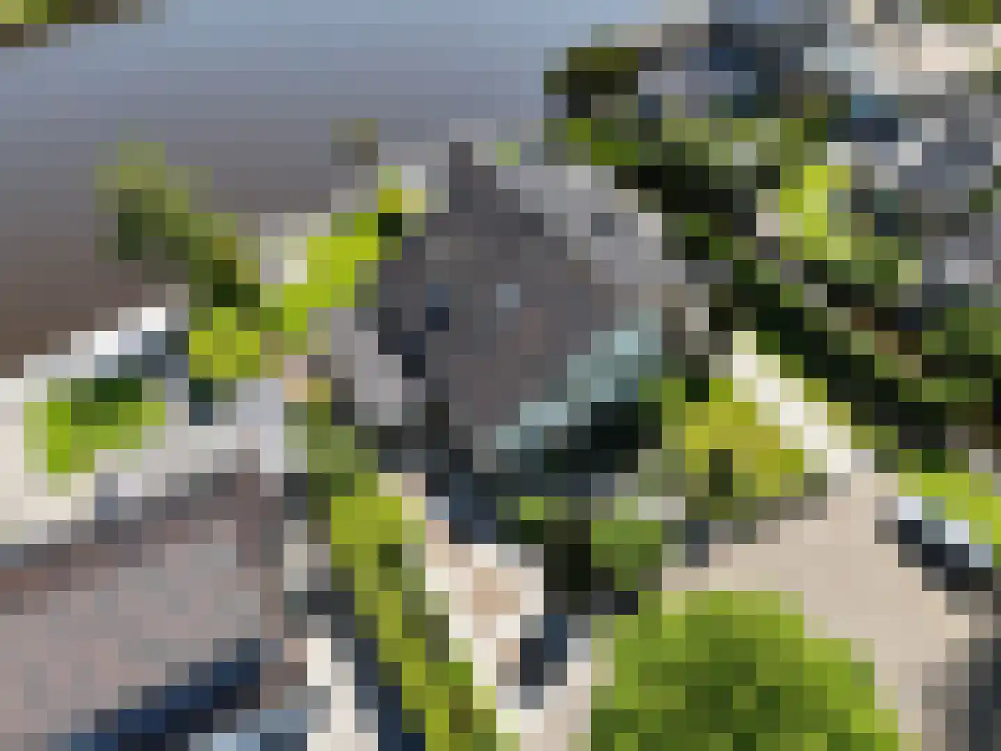 Gouwsingel 31 Assendelft thumbnail 40