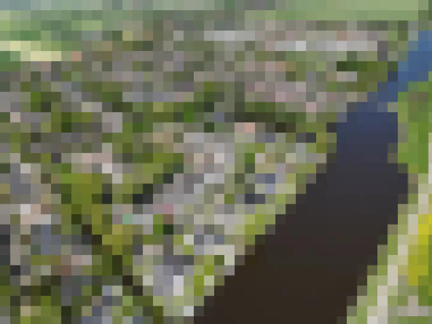 Gouwsingel 31 Assendelft thumbnail 42