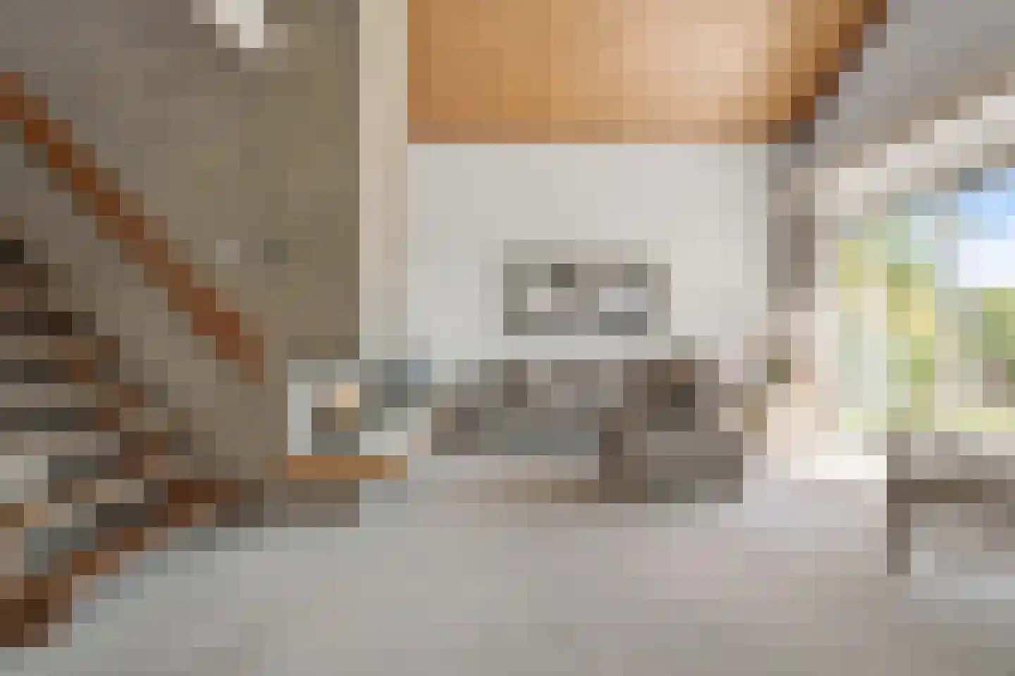 Gouwsingel 31 Assendelft thumbnail 5