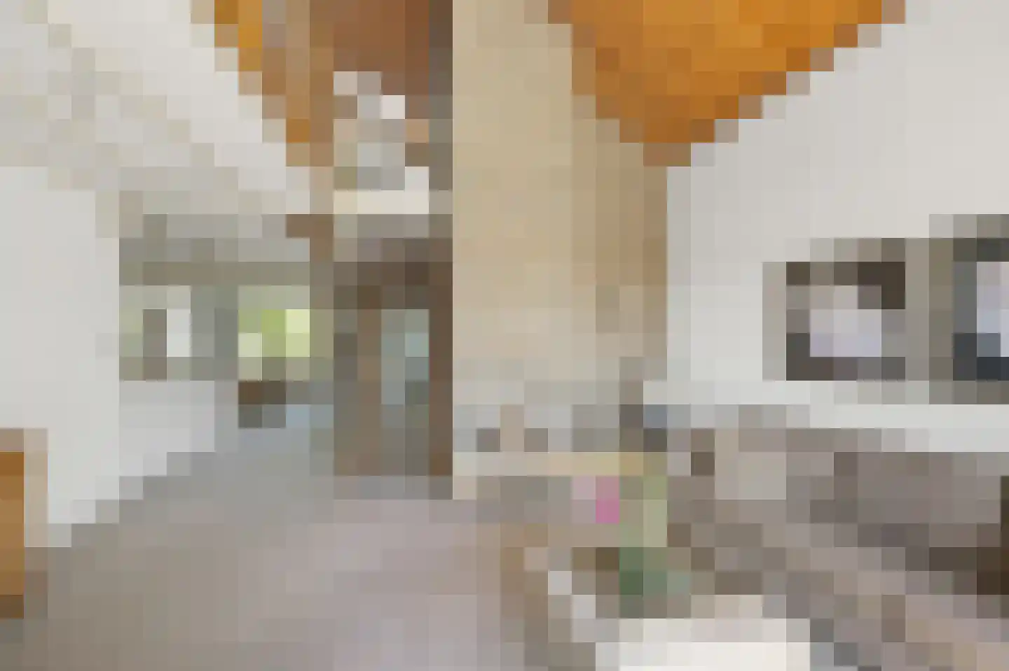 Gouwsingel 31 Assendelft thumbnail 6