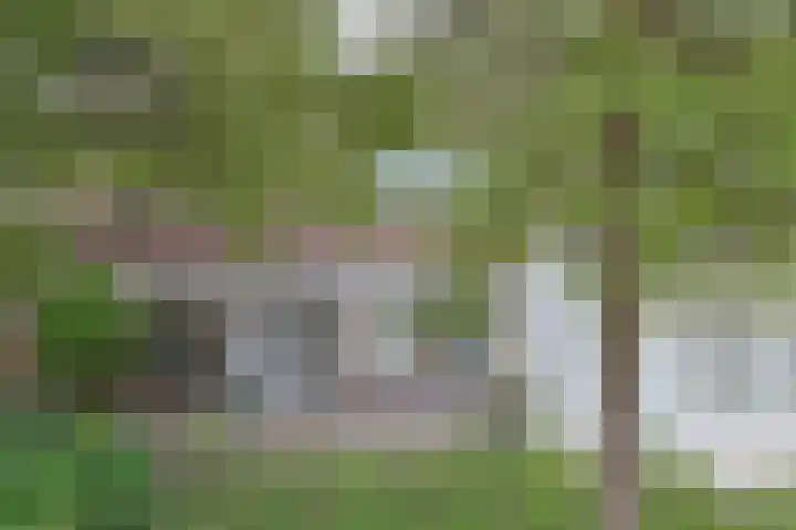 Gouwsluisseweg 103 in Alphen aan den Rijn