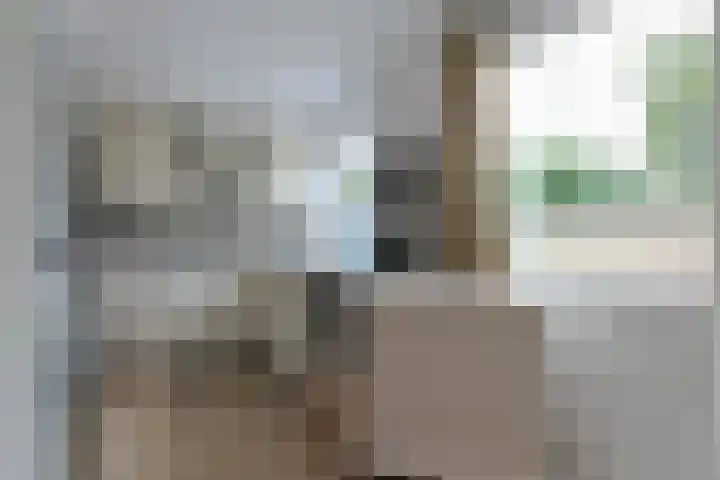 Gouwsluisseweg 103 Alphen aan den Rijn thumbnail 15
