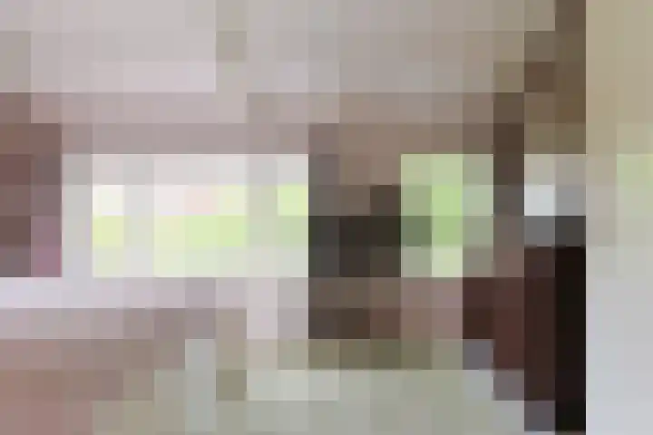 Gouwsluisseweg 103 Alphen aan den Rijn thumbnail 18