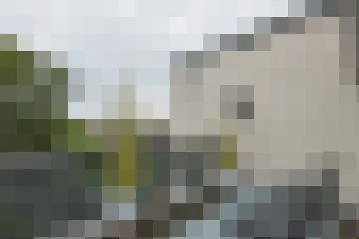 Gouwsluisseweg 103 Alphen aan den Rijn thumbnail 31