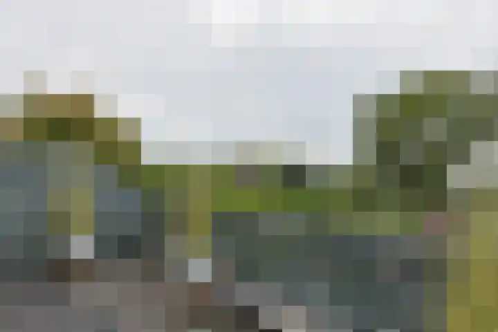 Gouwsluisseweg 103 Alphen aan den Rijn thumbnail 32