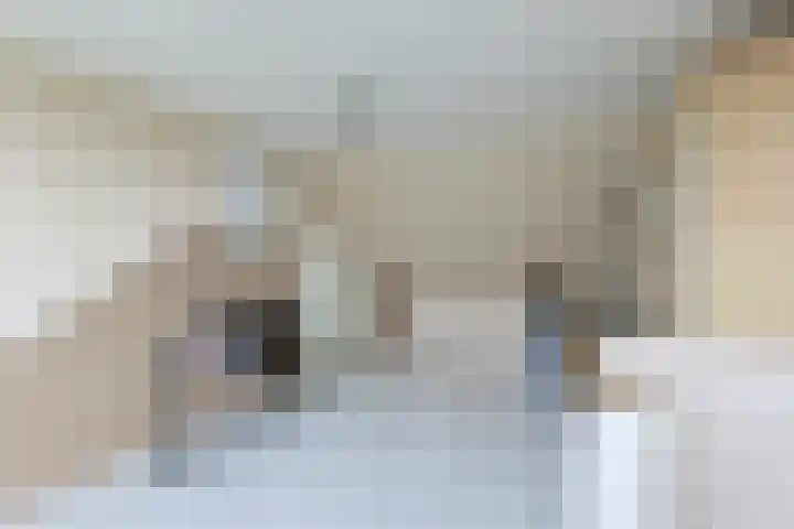 Gouwsluisseweg 103 Alphen aan den Rijn thumbnail 38
