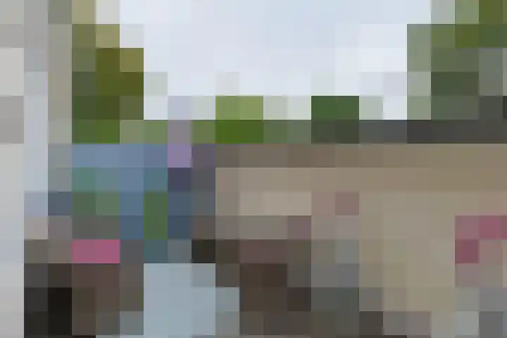 Gouwsluisseweg 103 Alphen aan den Rijn thumbnail 40