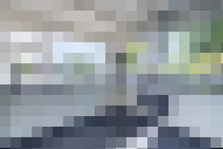 Gouwsluisseweg 5 Alphen aan den Rijn thumbnail 22