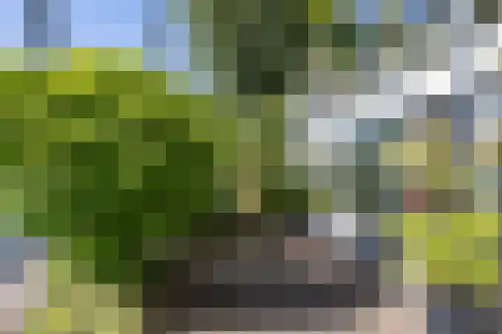 Gouwsluisseweg 5 Alphen aan den Rijn thumbnail 47