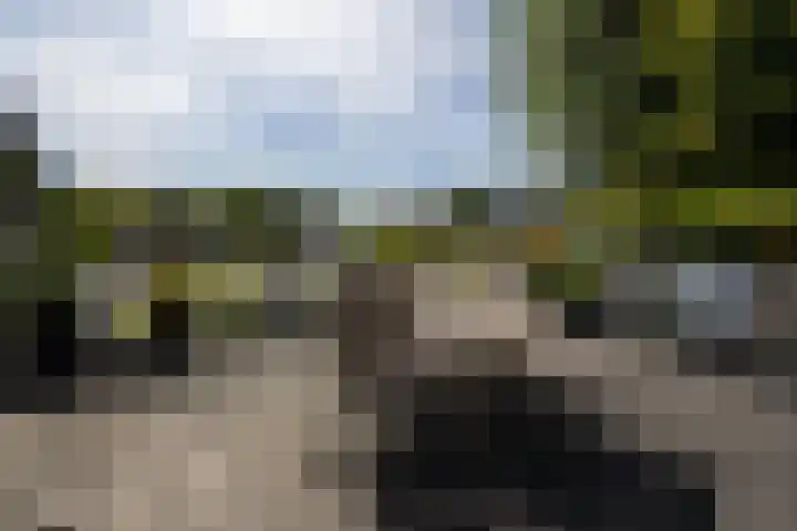 Gouwsluisseweg 5 Alphen aan den Rijn thumbnail 49