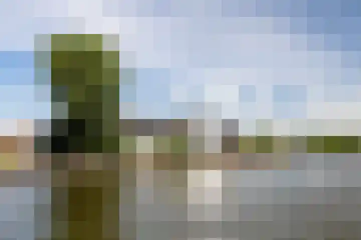 Gouwsluisseweg 5 Alphen aan den Rijn thumbnail 5