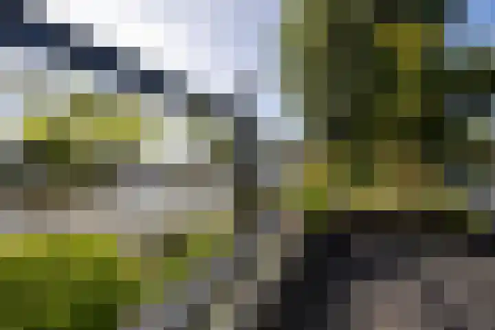 Gouwsluisseweg 5 Alphen aan den Rijn thumbnail 51