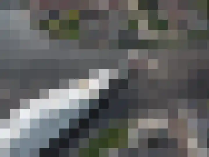 Gouwsluisseweg 5 Alphen aan den Rijn thumbnail 60