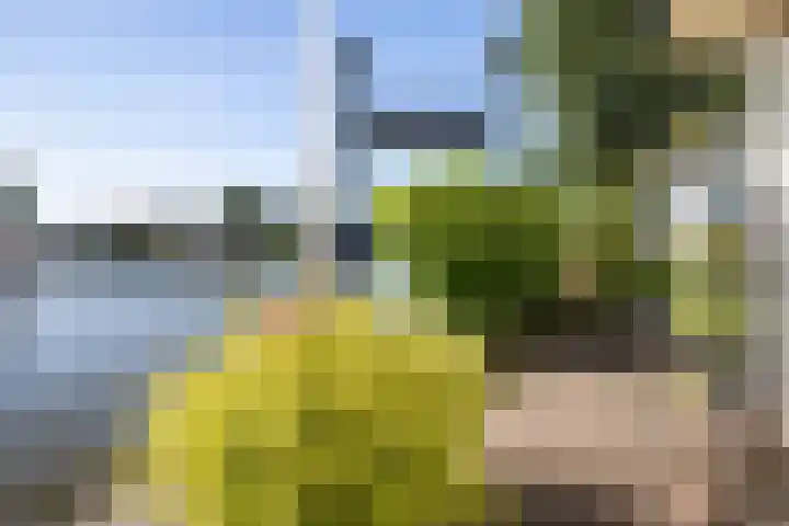 Gouwsluisseweg 5 Alphen aan den Rijn thumbnail 7