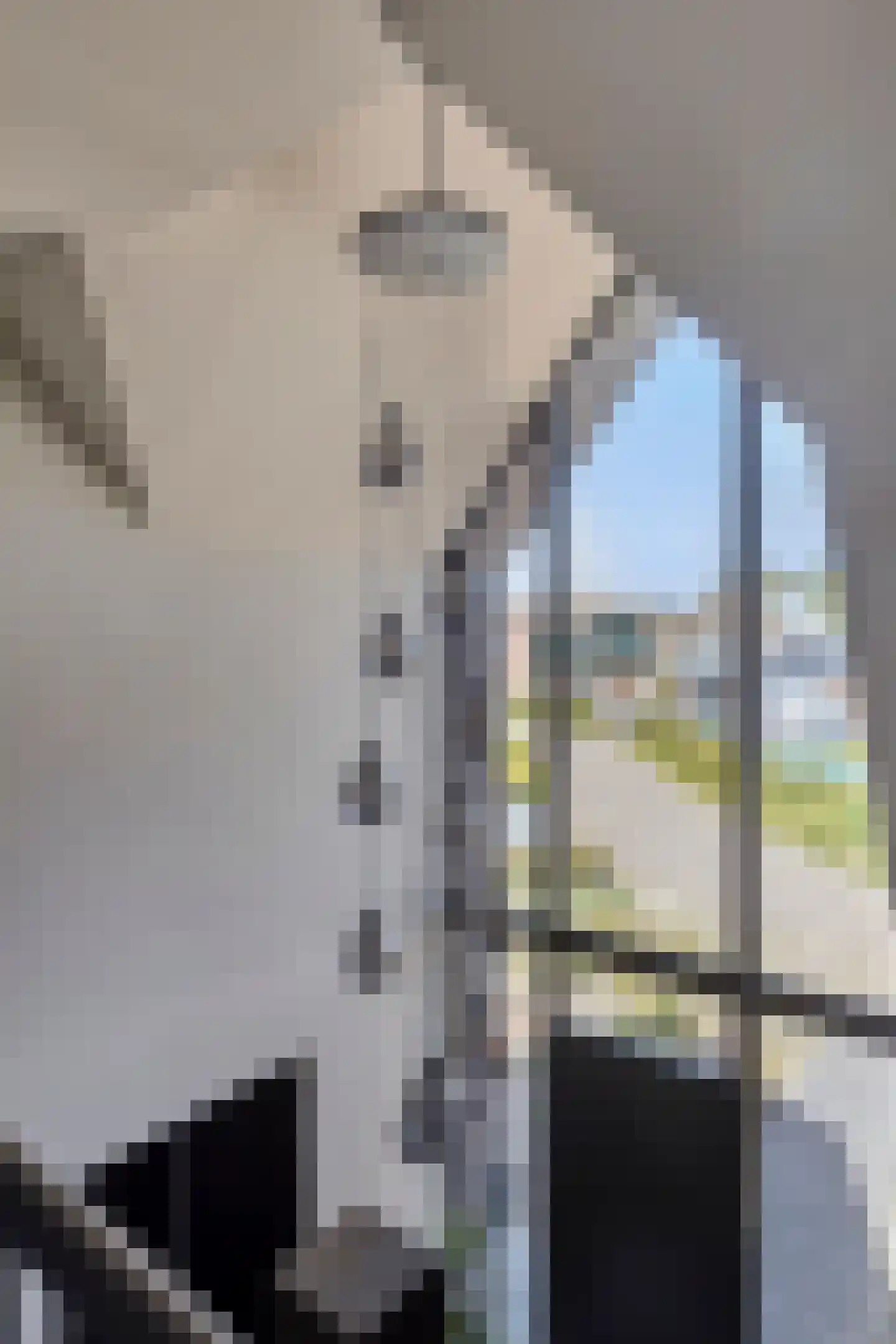 Gouwstraat 2 Spierdijk thumbnail 23