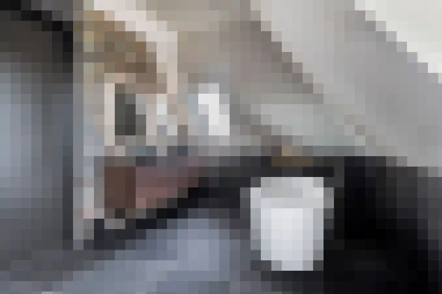 Gouwstraat 2 Spierdijk thumbnail 30