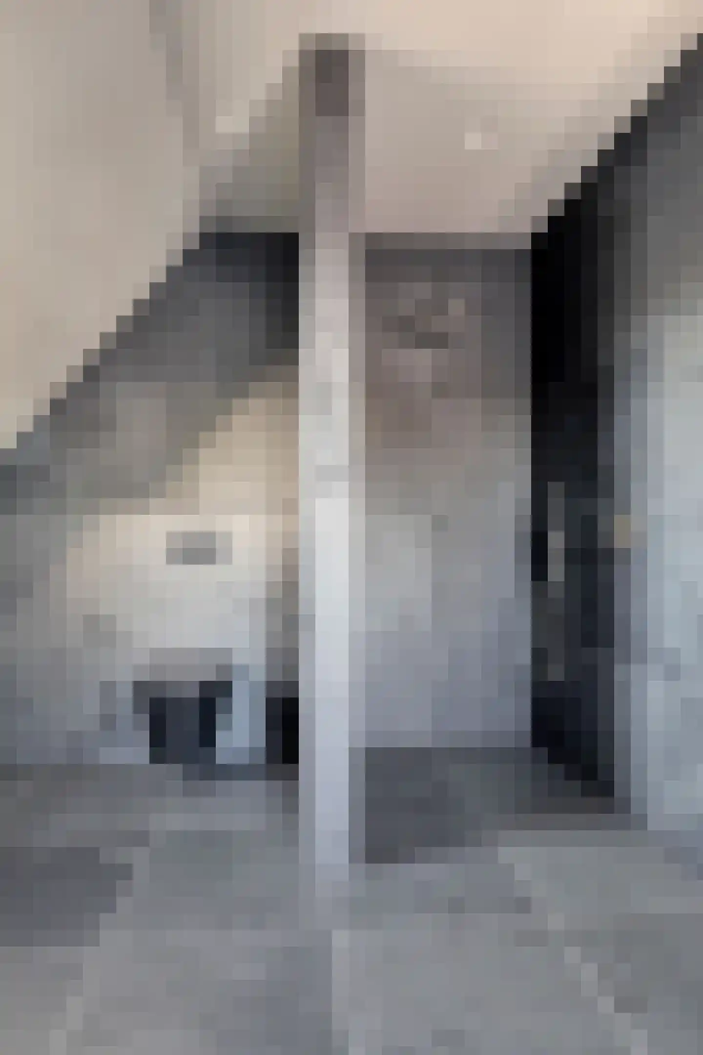 Gouwstraat 2 Spierdijk thumbnail 32