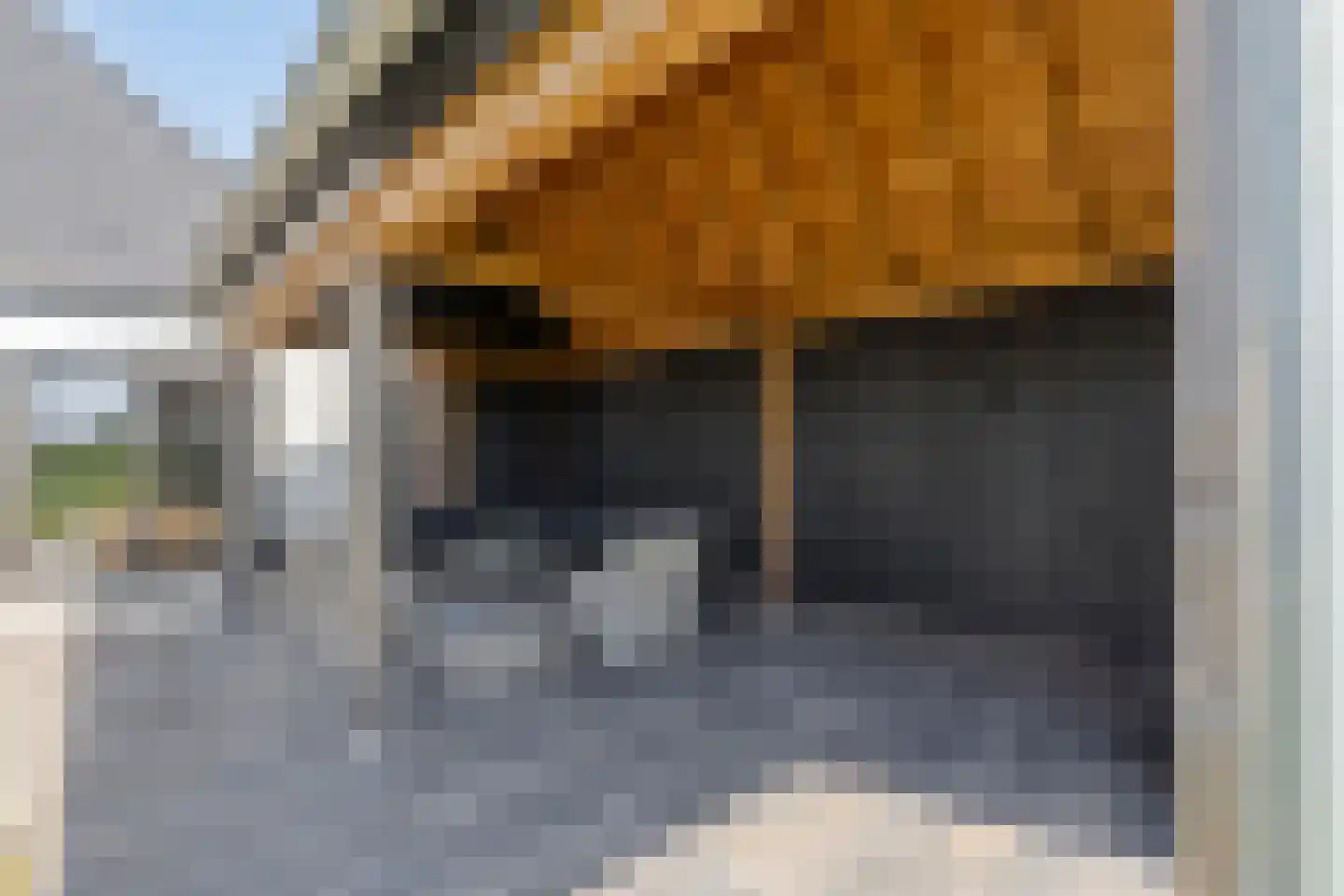 Gouwstraat 2 Spierdijk thumbnail 38