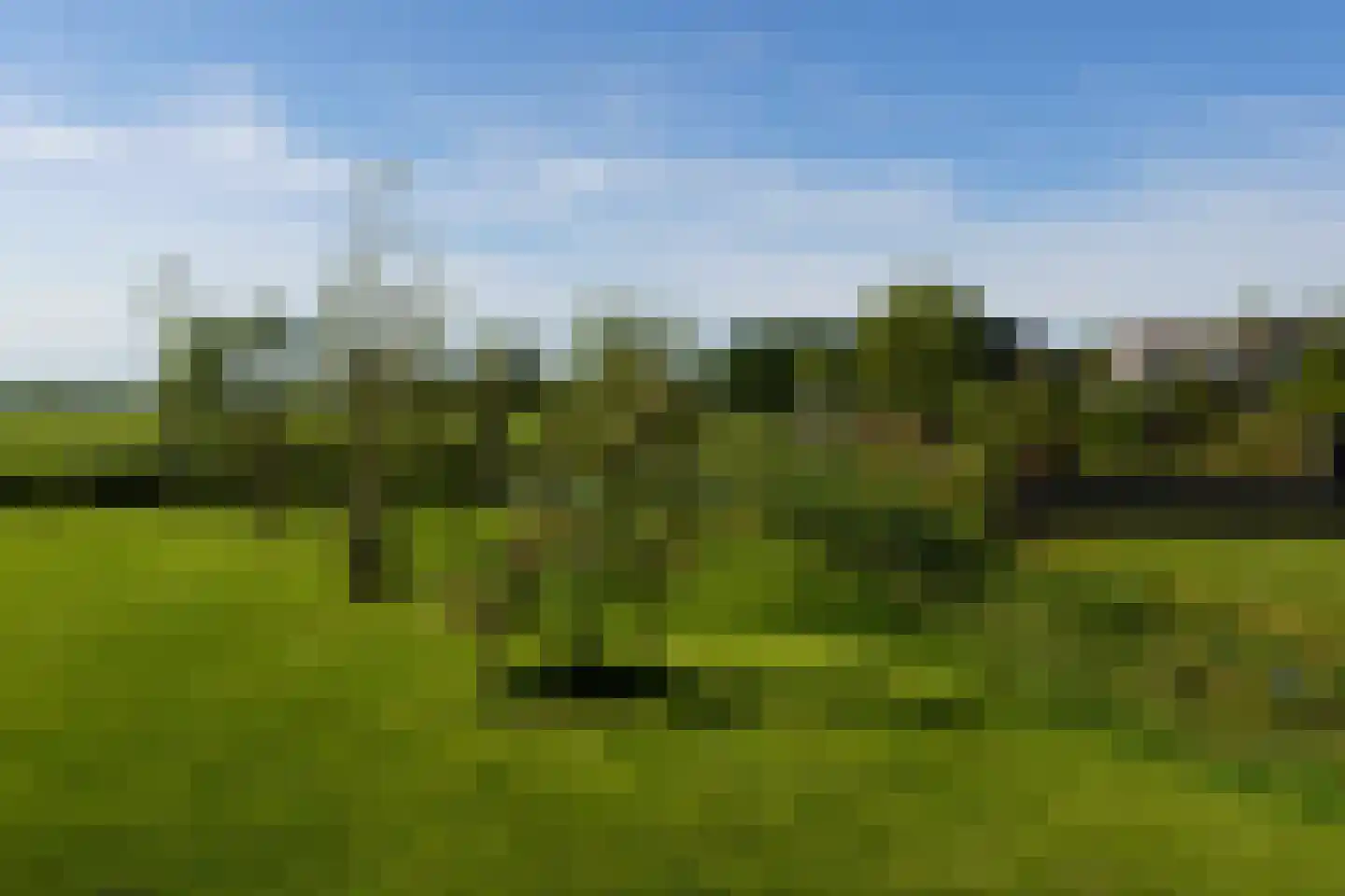 Gouwstraat 2 Spierdijk thumbnail 39
