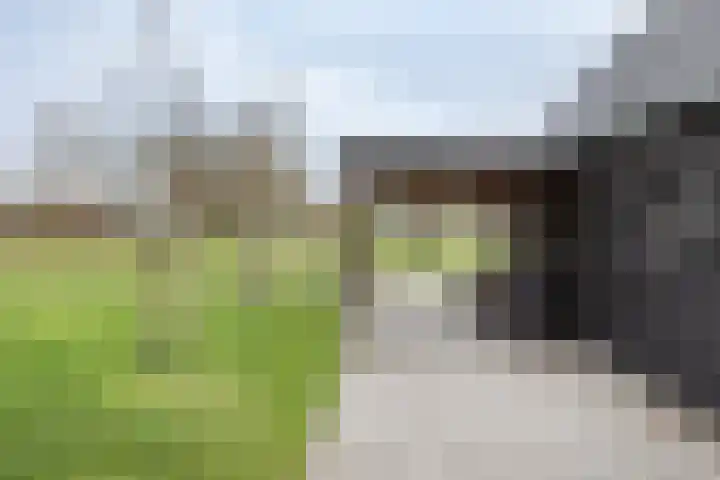 Gouwstraat 3 Spierdijk thumbnail 26