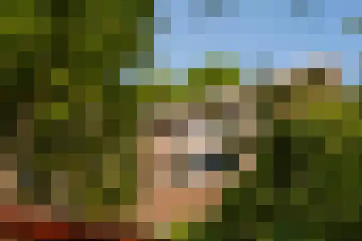 Gouwstraat 47 Rotterdam thumbnail 4