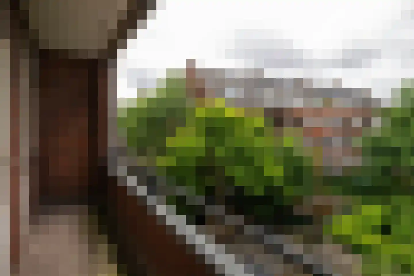 Gouwstraat 68 B Rotterdam thumbnail 4