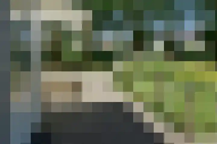 Gouwzee 1 Uithoorn thumbnail 17