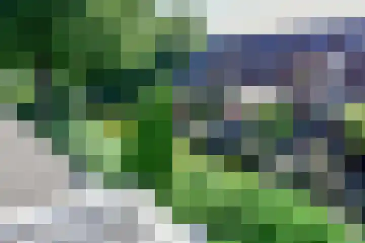 Gouwzee 1 Uithoorn thumbnail 25