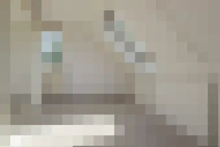 Gouwzee 1 Uithoorn thumbnail 33