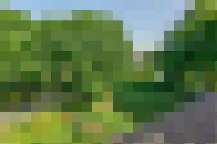 Gouwzee 1 Uithoorn thumbnail 35