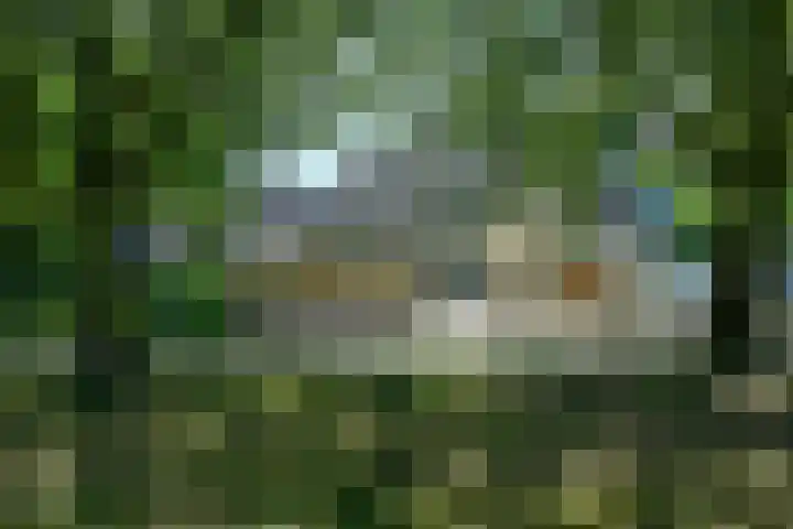 Gouwzee 1 Uithoorn thumbnail 36
