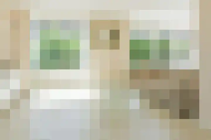 Gouwzee 1 Uithoorn thumbnail 8