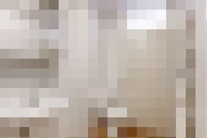 Gouwzee 27 Uithoorn thumbnail 14