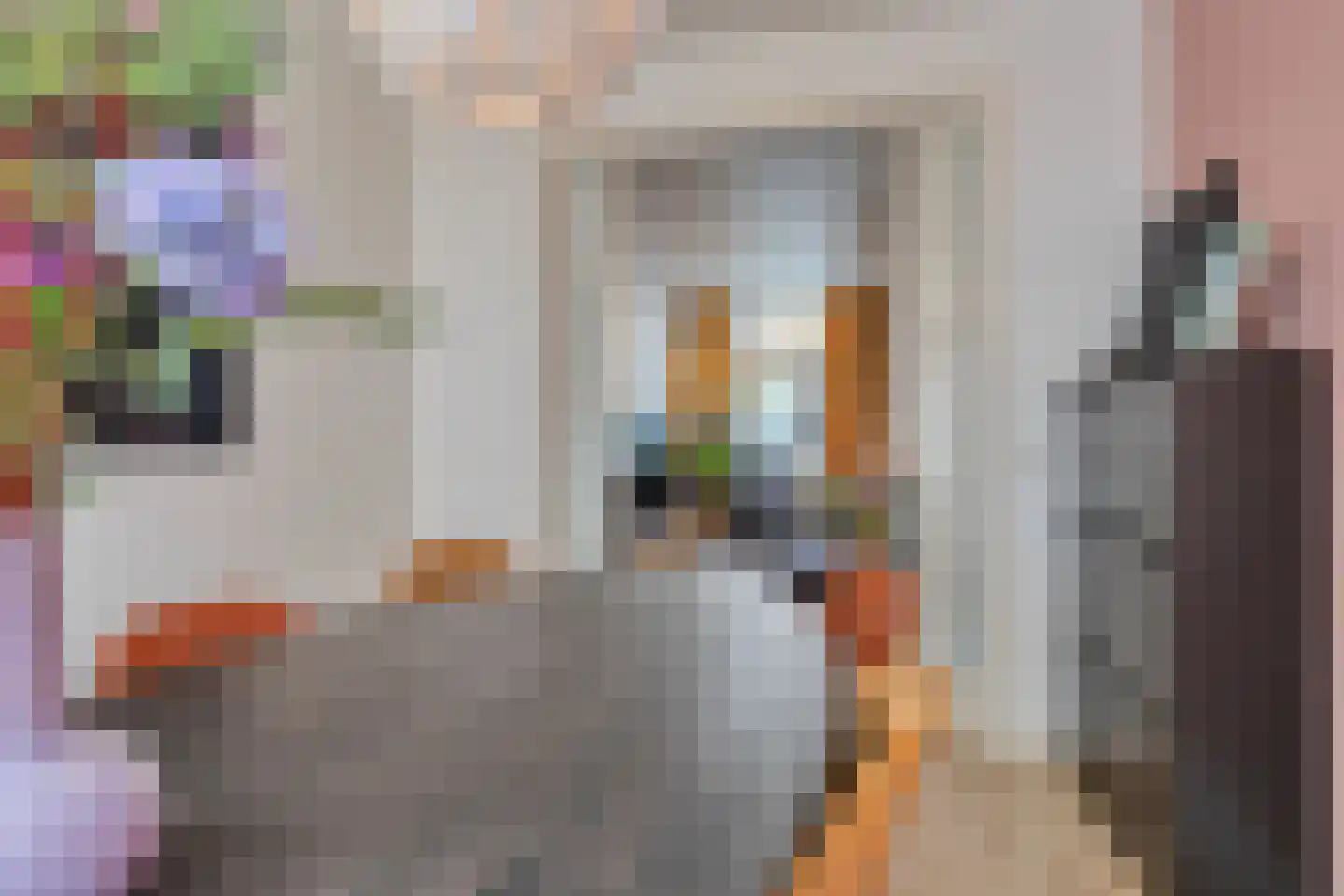 Govert Bidloostraat 122 Den Haag thumbnail 11