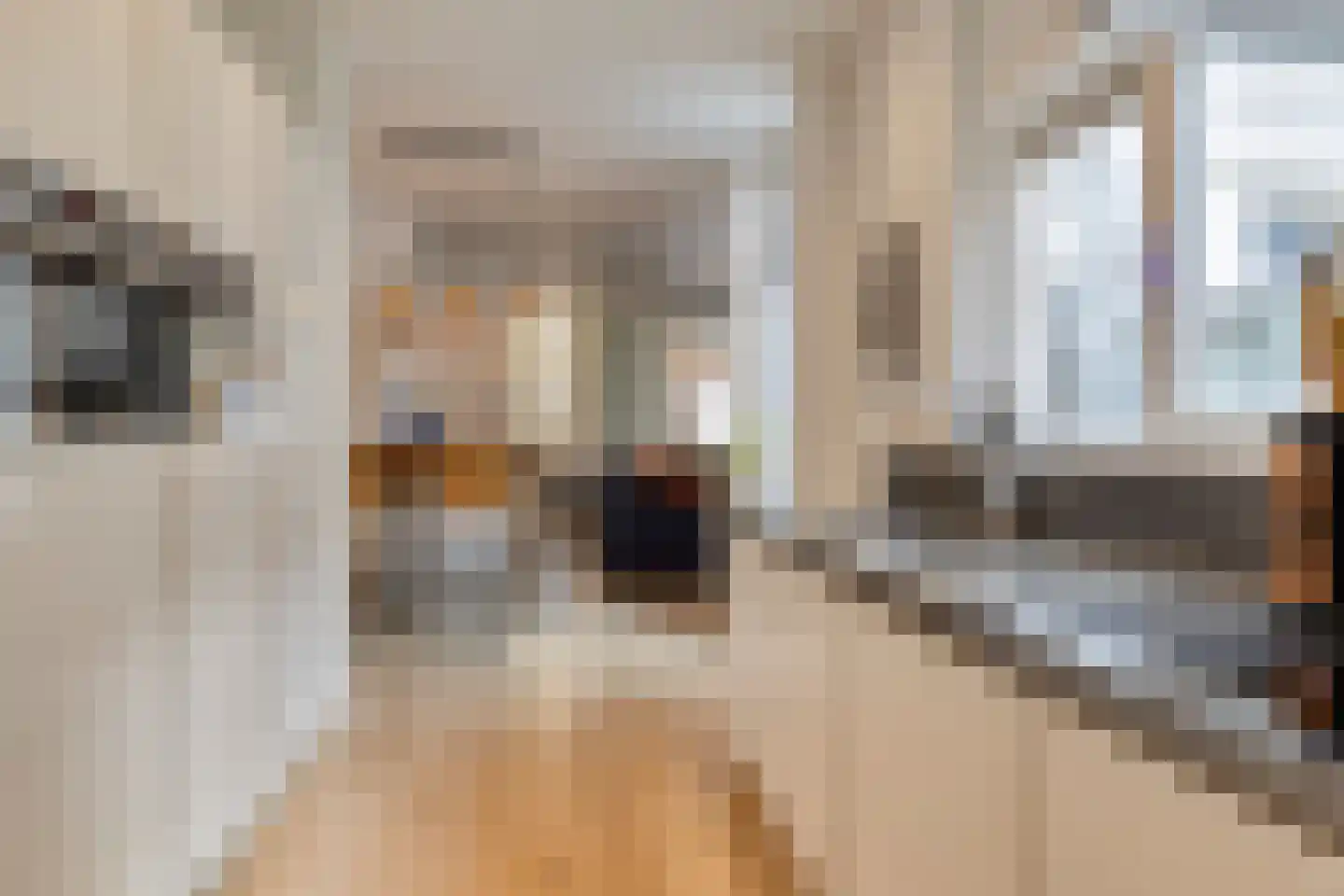 Govert Bidloostraat 122 Den Haag thumbnail 15
