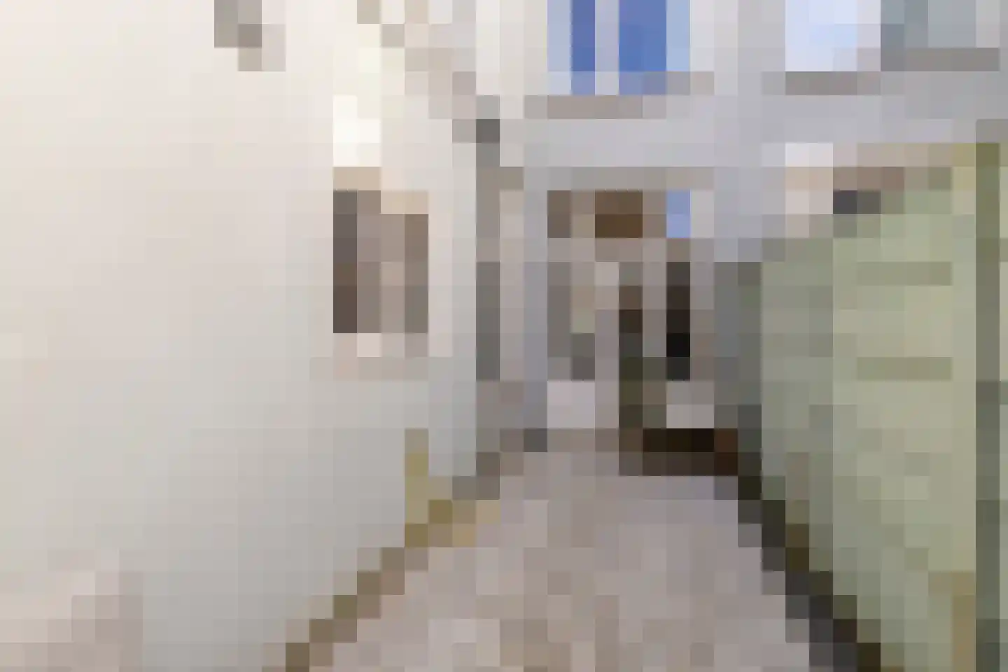 Govert Bidloostraat 122 Den Haag thumbnail 22