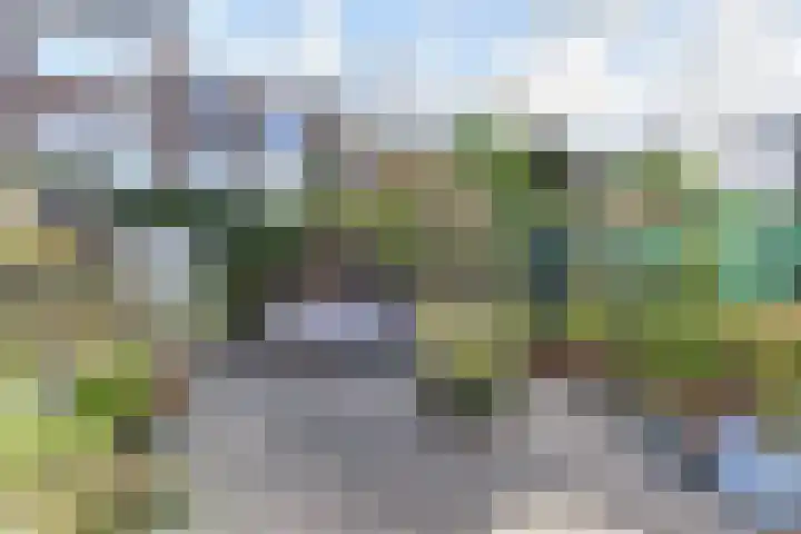 Govert Bidloostraat 17 Den Haag thumbnail 5