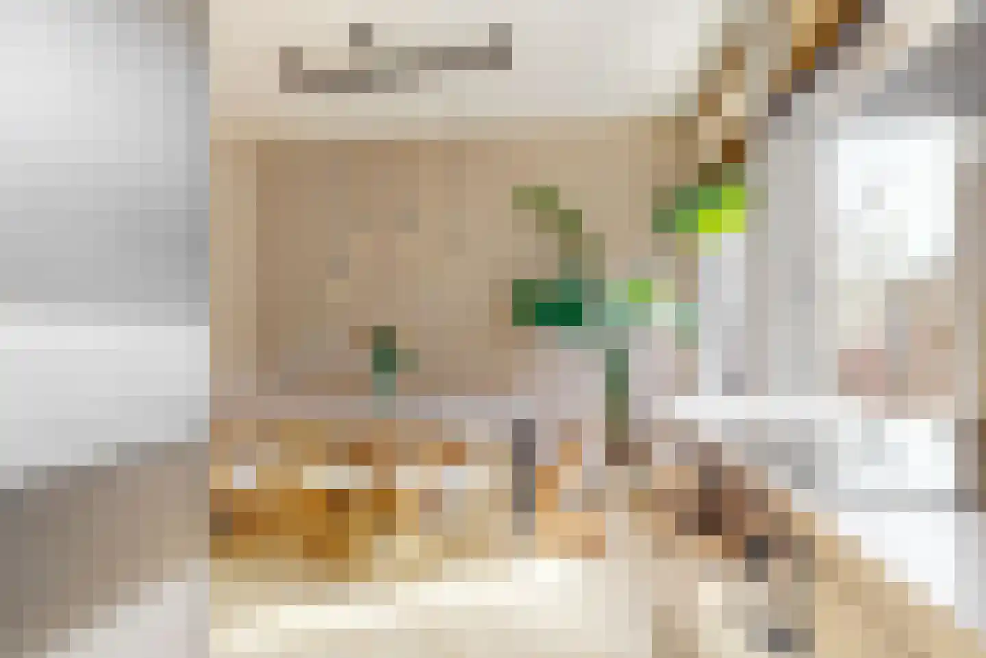 Govert Bidloostraat 41 Den Haag thumbnail 11