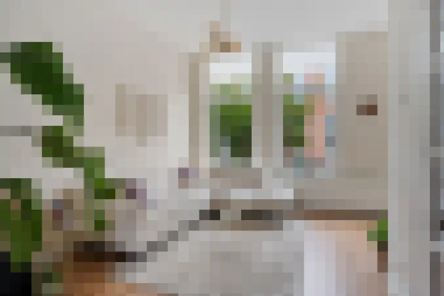 Govert Bidloostraat 52 Den Haag thumbnail 10