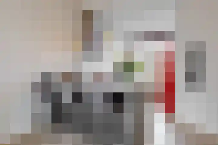Govert Bidloostraat 74 Den Haag thumbnail 14