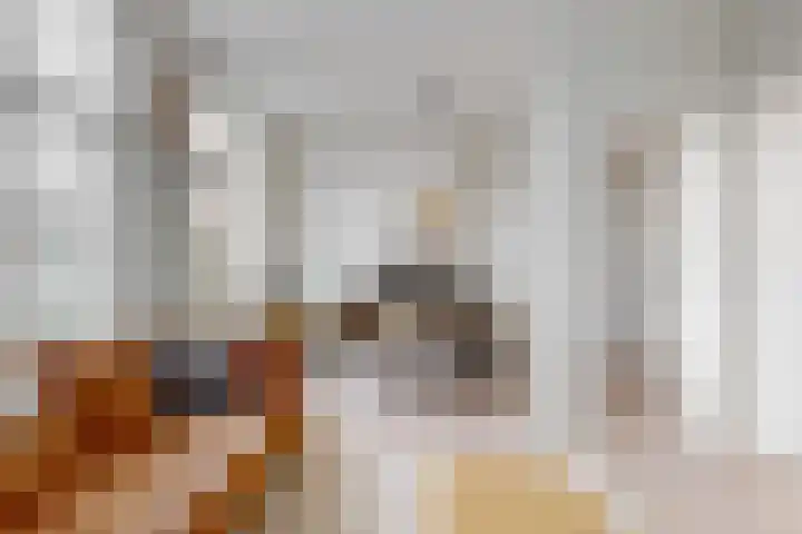 Govert Bidloostraat 74 Den Haag thumbnail 8