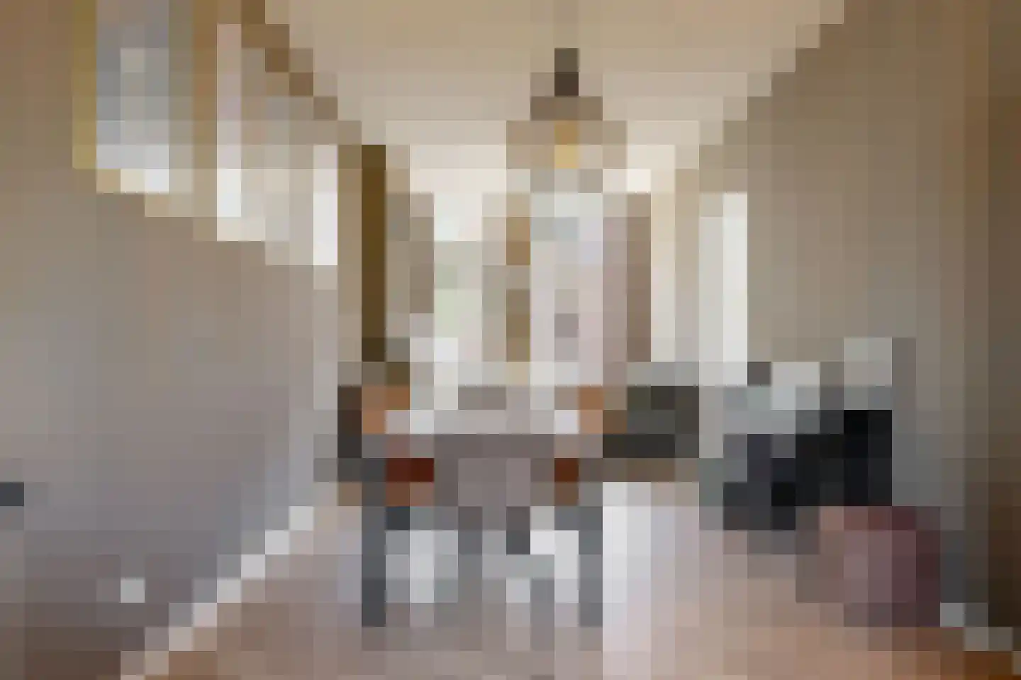 Govert Bidloostraat 78 Den Haag thumbnail 12